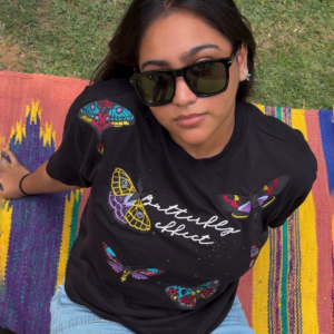 butterfly effect